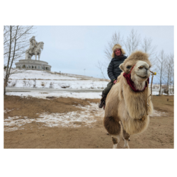 ponožky z pravej Ťavy dvojhrbej - originál z Mongolska